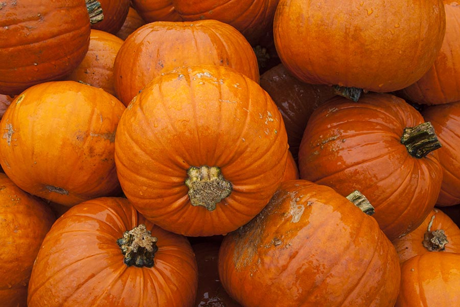 Pumpkins