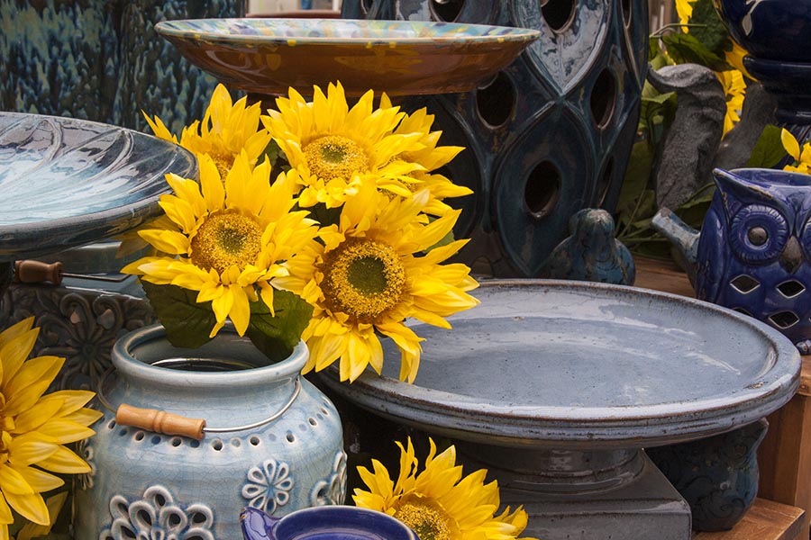 Sunflower Still Life