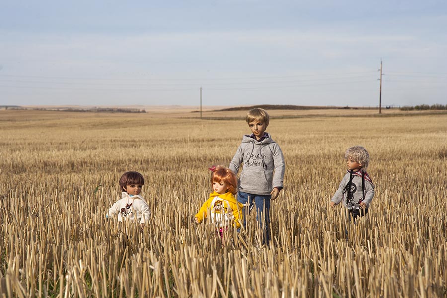 Wheat Fields in Southern Alberta