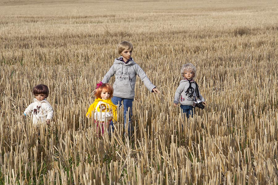 Wheat Field 