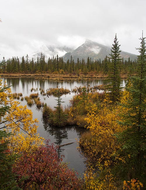 Vermillion Lakes on an Overcast Morning