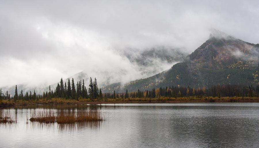Mount Rundle in the Mist