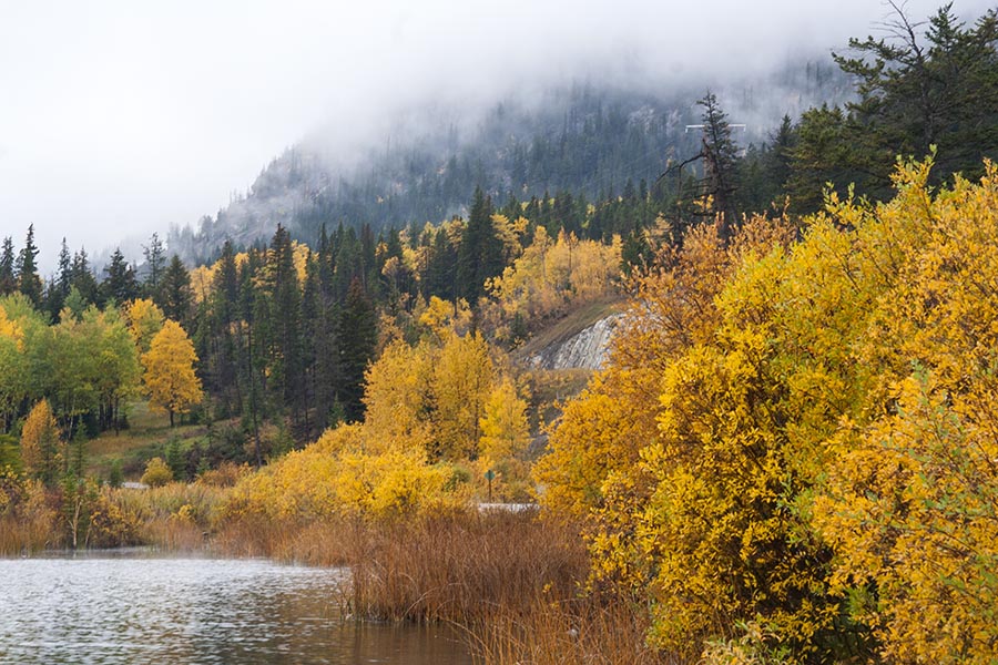 Autumn Colour Along the Lake Road