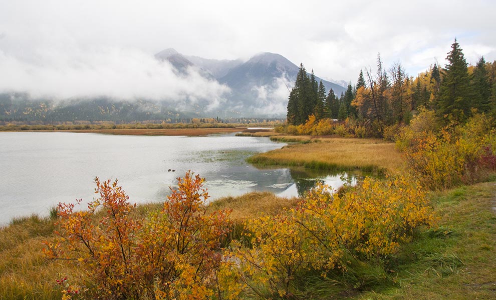 Autumn Lakeshore