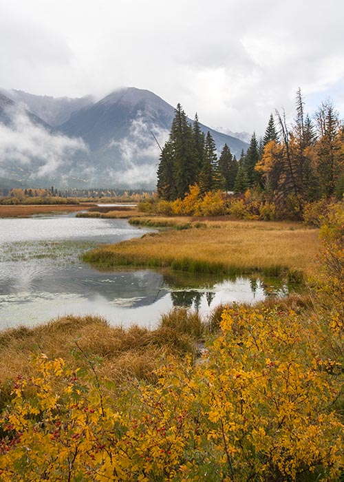 Autumn Morning at Vermillion Lakes