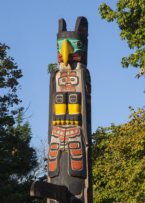 Colourful Raven - or Eagle
