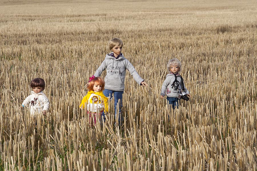 Wheat Field in Alberta