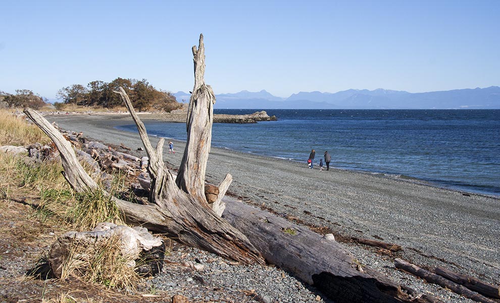 Strolling on the Beach in Nanaimo 