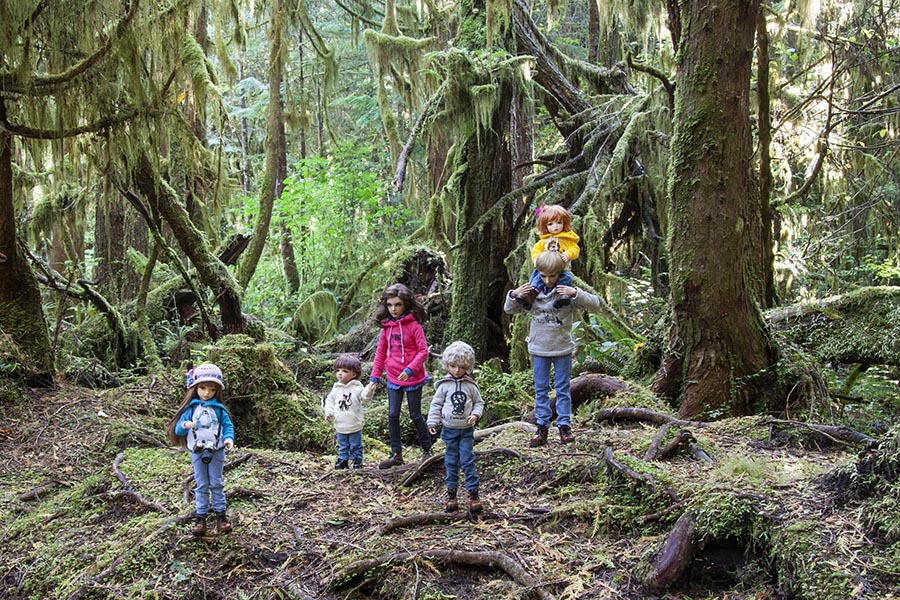 Hiking in the Rain Forest