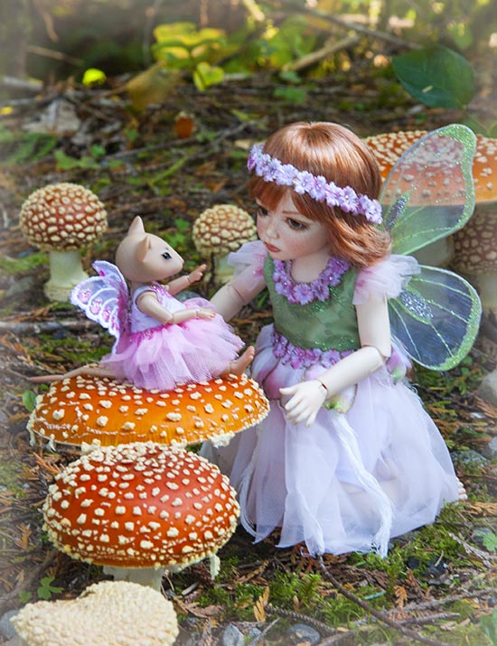 Amanita Fairies