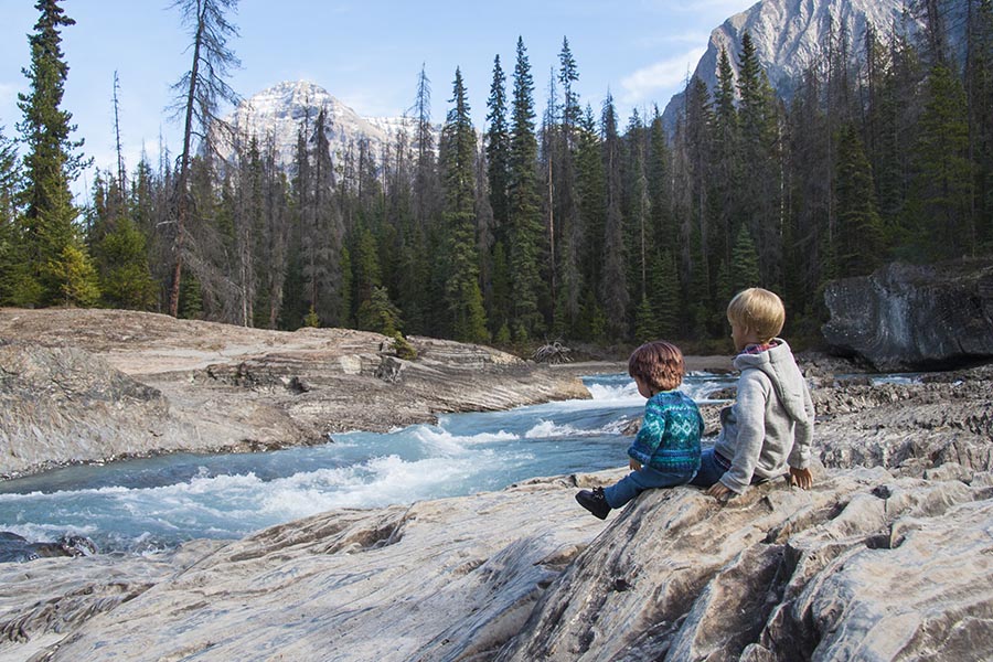 Along the Kicking Horse River