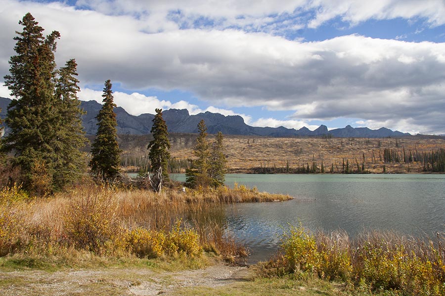 Sunny Morning in Jasper