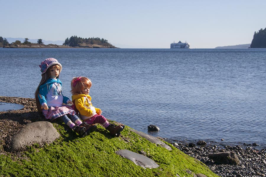 Low Tide in Nanaimo