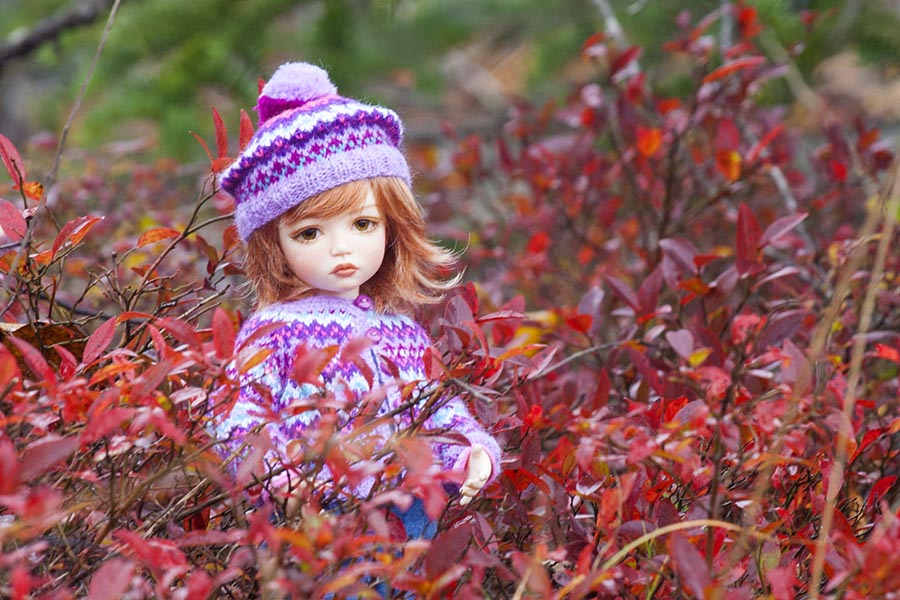 Holly in the Blueberries