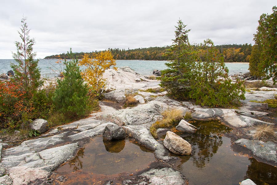 Rocks and Trees
