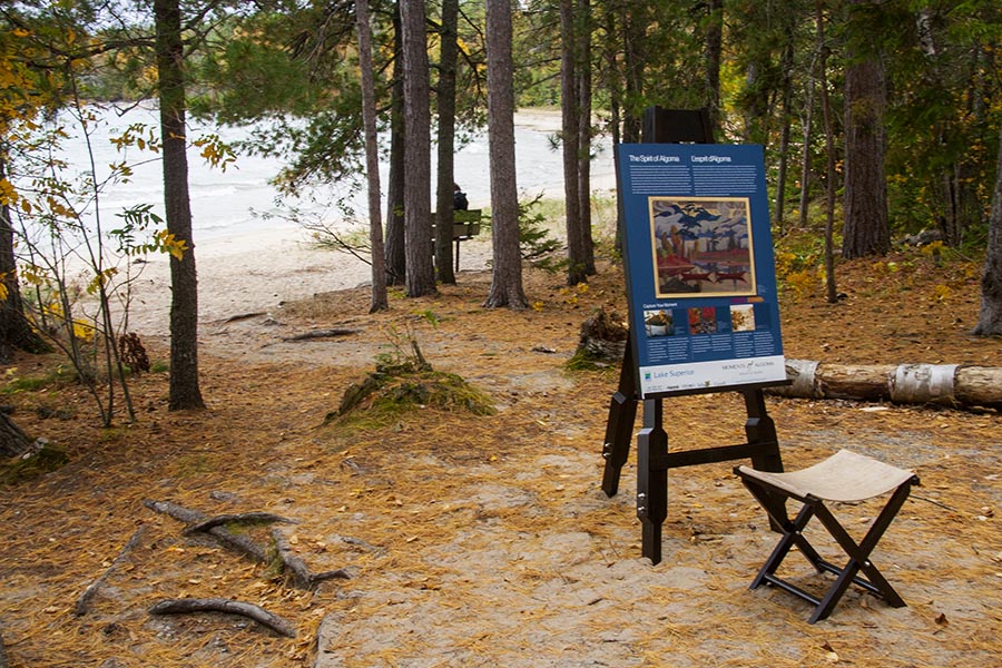 Art in the Wilderness