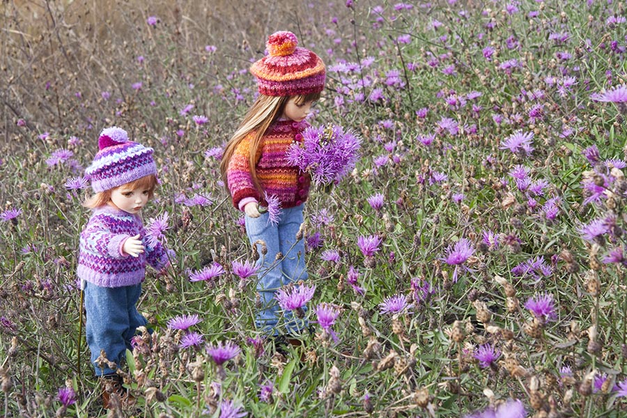 Picking Purple Knapweed