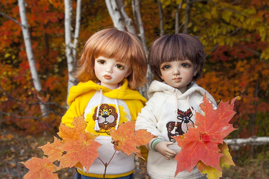 Maple Leaves