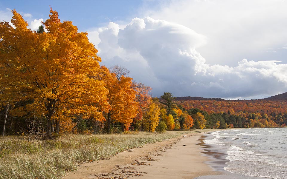Shore of Lake Superior
