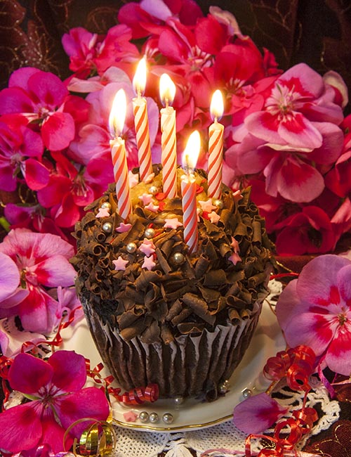 Happy Fifth Anniversary!