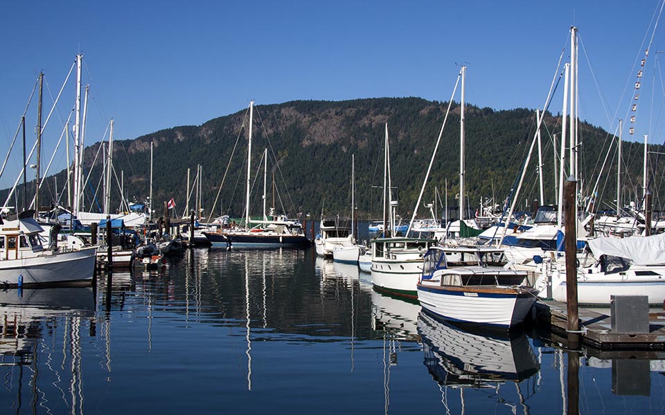 Lots of Sailboats