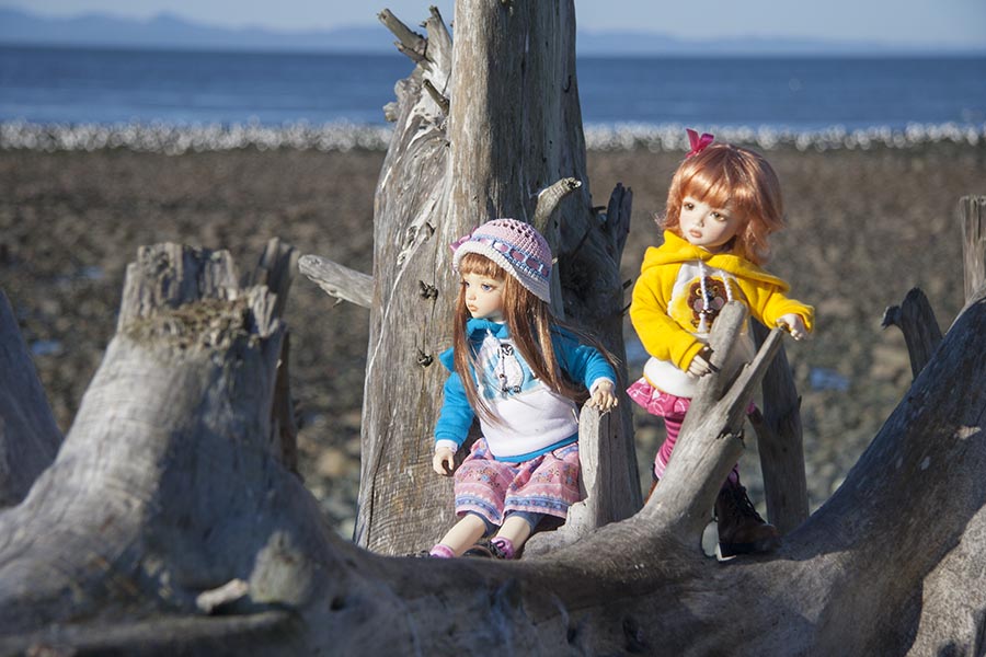 Climbing on the Driftwood