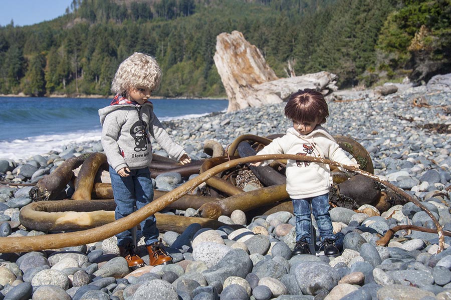 Playing with the Kelp