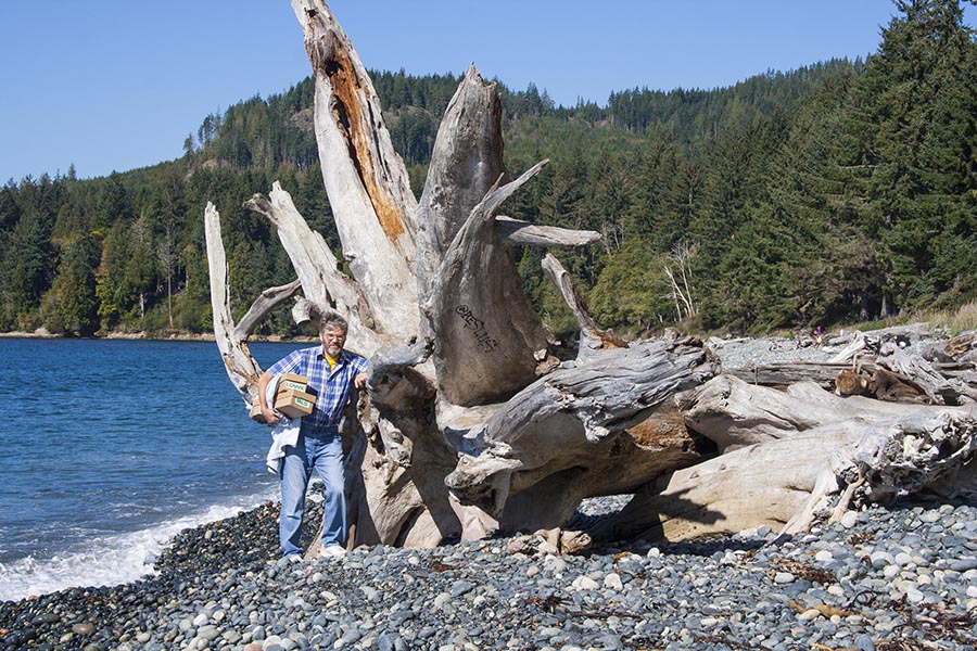 Giant Driftwood at French Beach