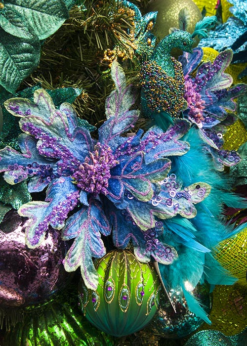 Peacock Poinsettia