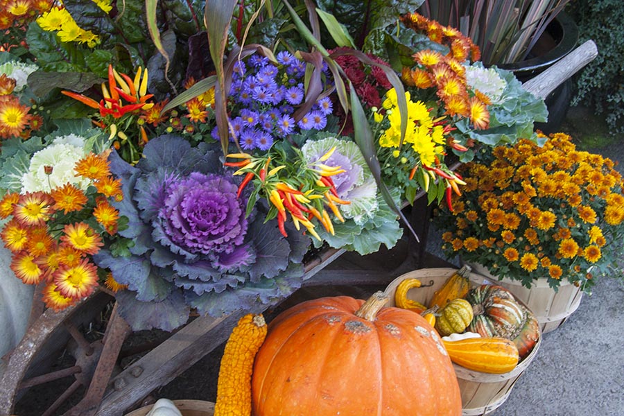 Autumn Display