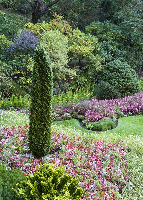 Into the Garden