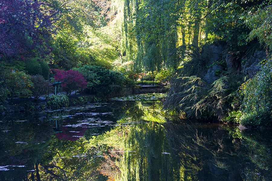 Reflecting Pool