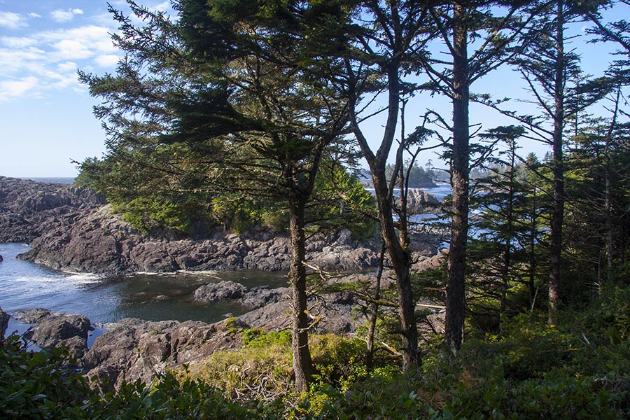 Heading Out on the Wild Pacific Trail