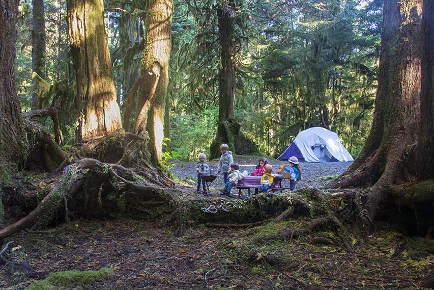 Camping in the Rain Forest
