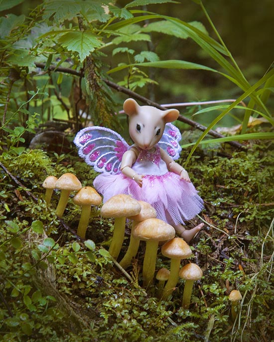 Mouse with Mushrooms