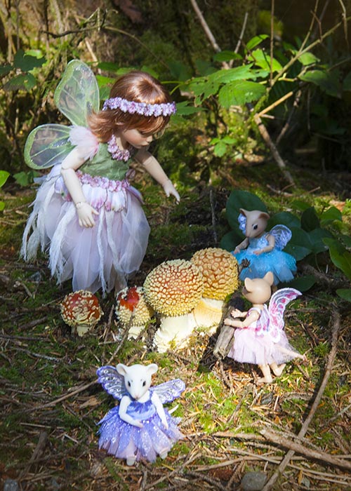 Fairies with Amanitas