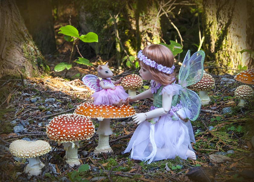 Fairies with Mushrooms