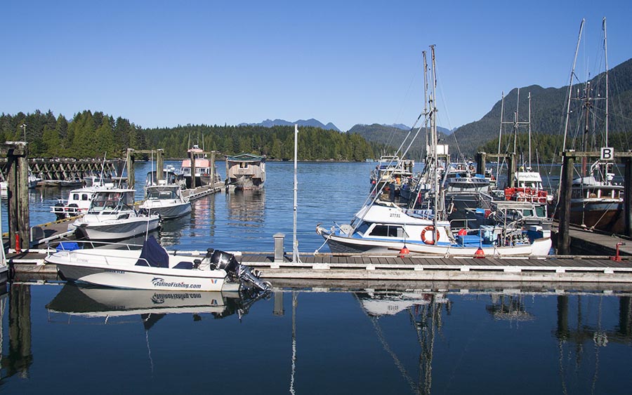 Boats in Tofino
