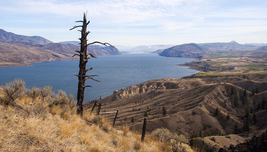 Kamloops Lake