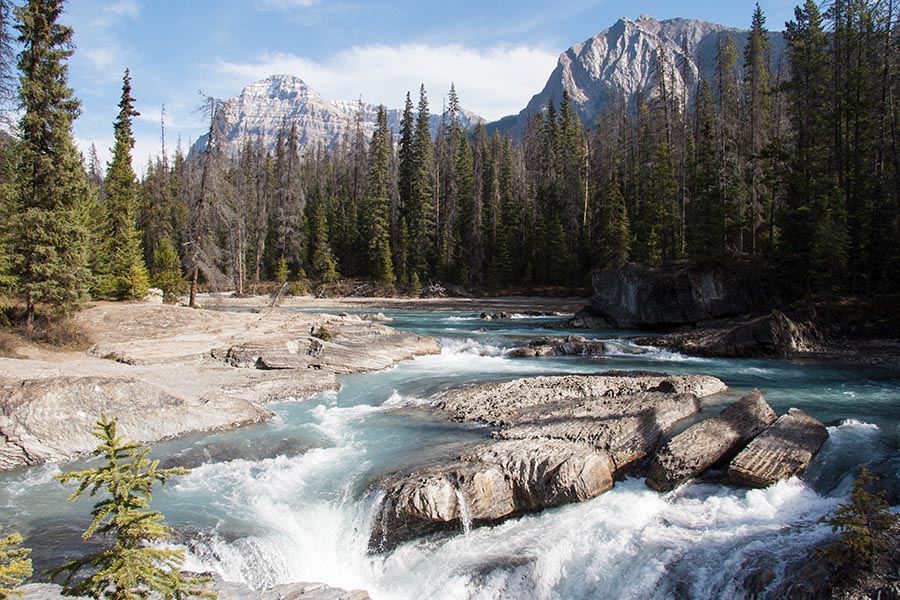 Kicking Horse River
