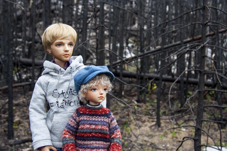 Surveying the Devestation