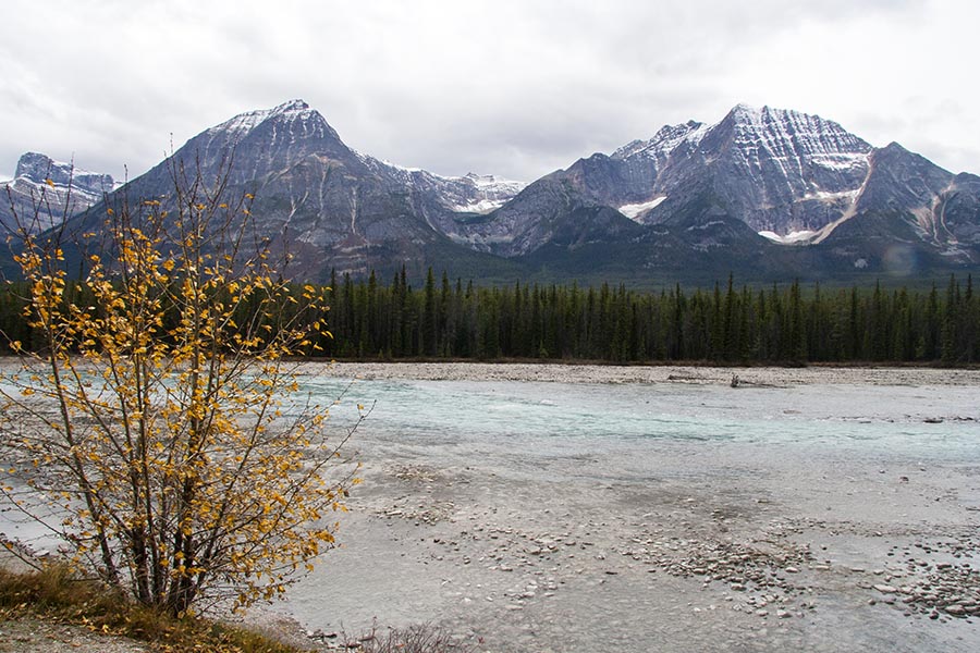 the Athabasca River