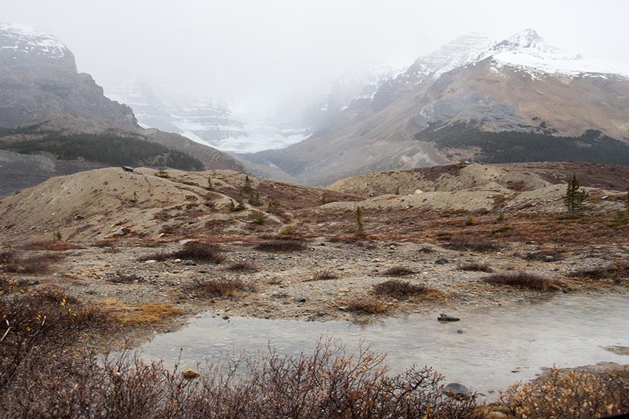 Miserable Morning at the Icefields Centre