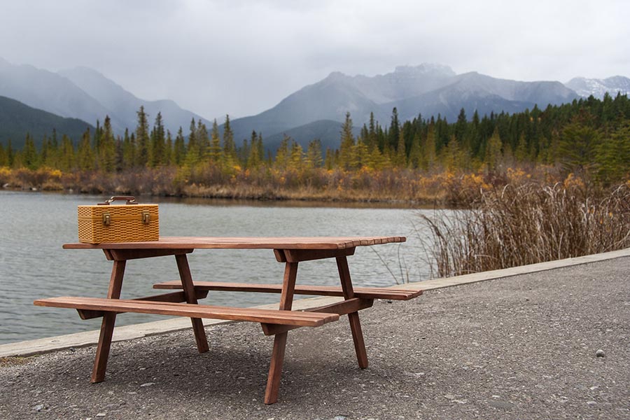 Picnic Table at Vermillion Lakes