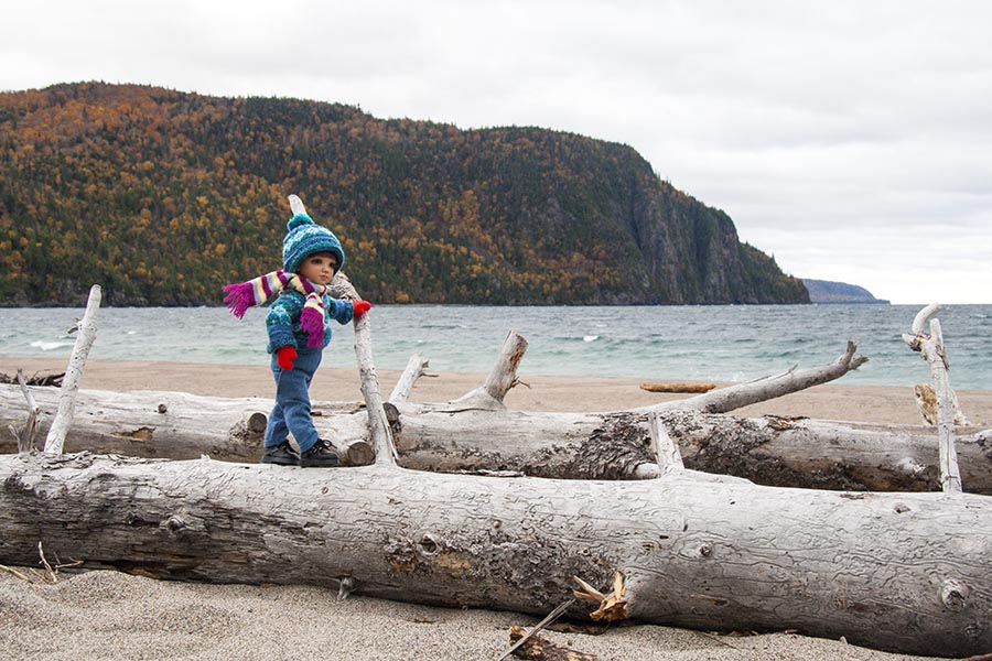 Having Fun on the Driftwood