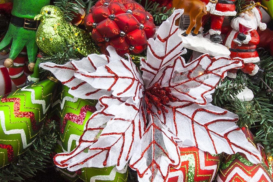 Peppermint Poinsettia