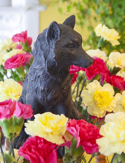 Wolf in the Carnations