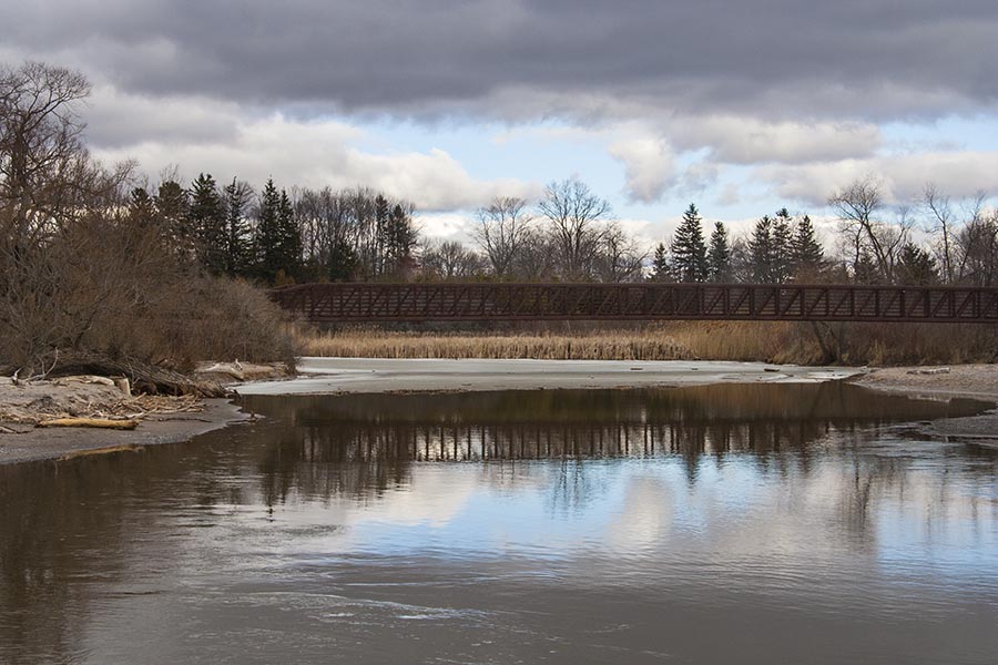 Winter Reflection