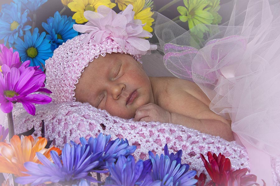Little Flower Fairy