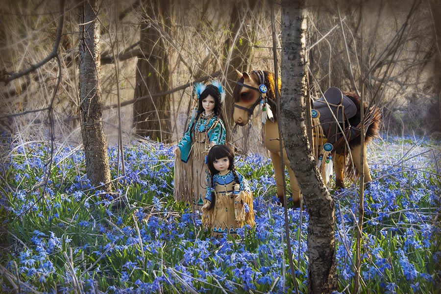 Through the Woods